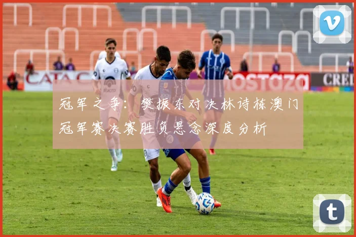 冠军之争：樊振东对决林诗栋澳门冠军赛决赛胜负悬念深度分析