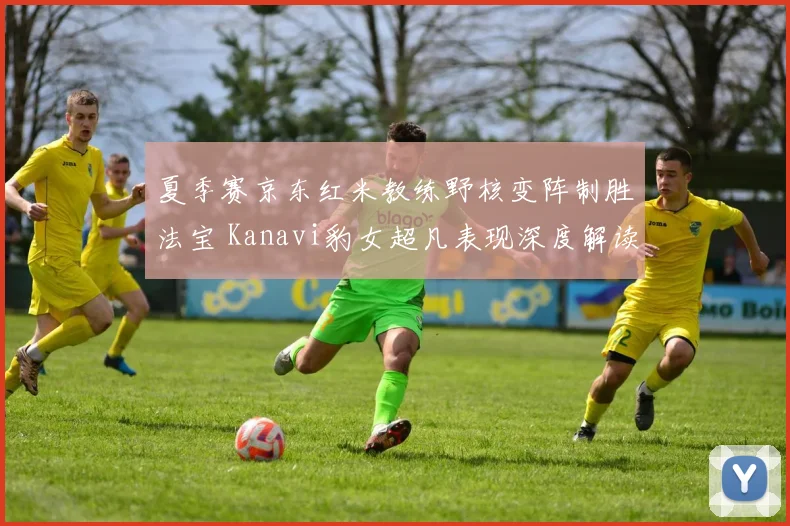 夏季赛京东红米教练野核变阵制胜法宝 Kanavi豹女超凡表现深度解读