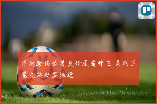 辛纳腰伤恢复良好展露锋芒 美网卫冕之路渐显坦途