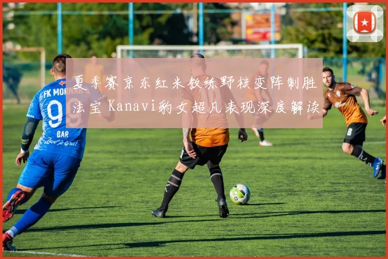 夏季赛京东红米教练野核变阵制胜法宝 Kanavi豹女超凡表现深度解读